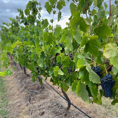 Bracken Ridge Vineyard The Entire Estate רוטברי מראה חיצוני תמונה