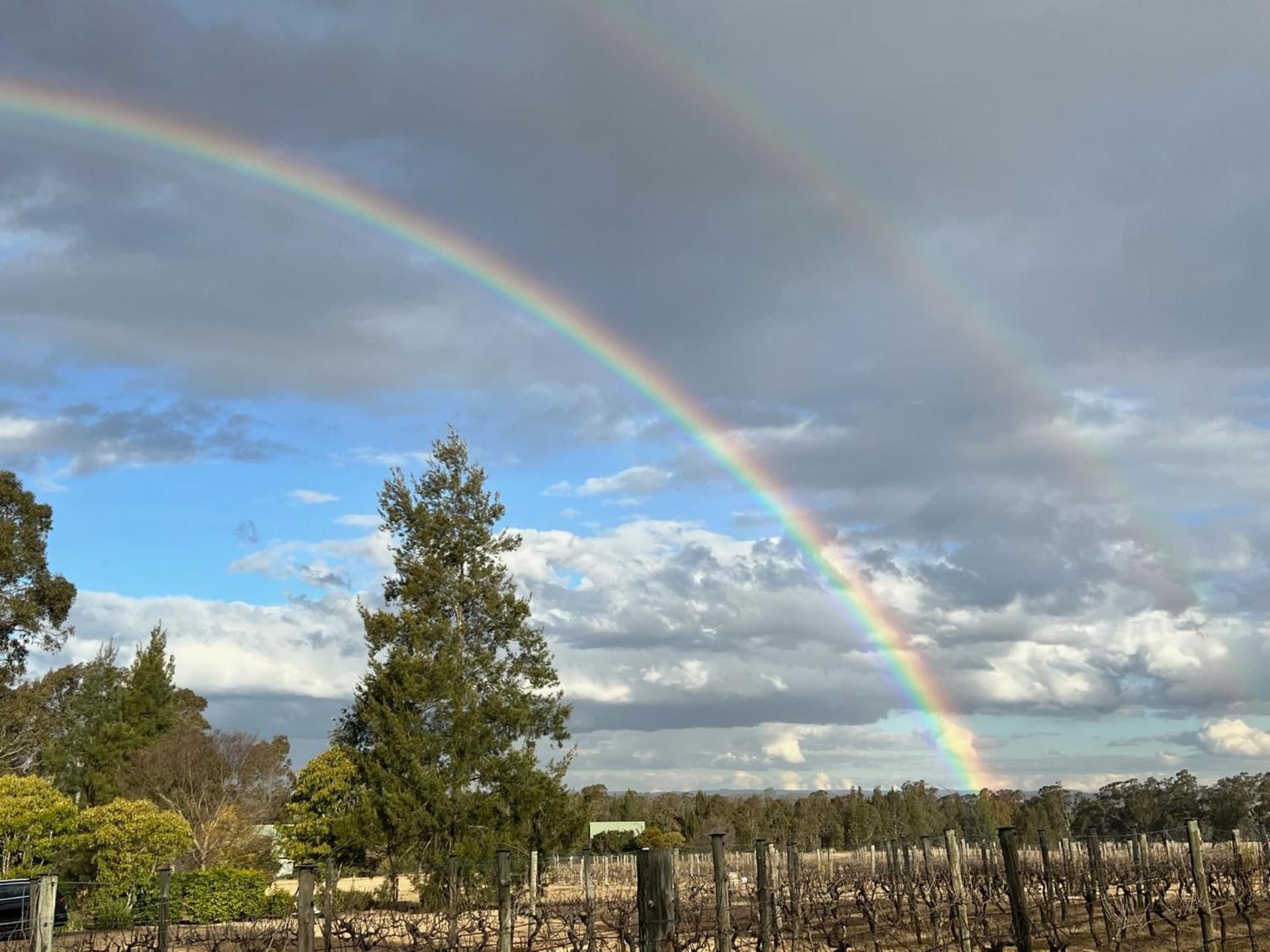 Bracken Ridge Vineyard The Entire Estate רוטברי מראה חיצוני תמונה