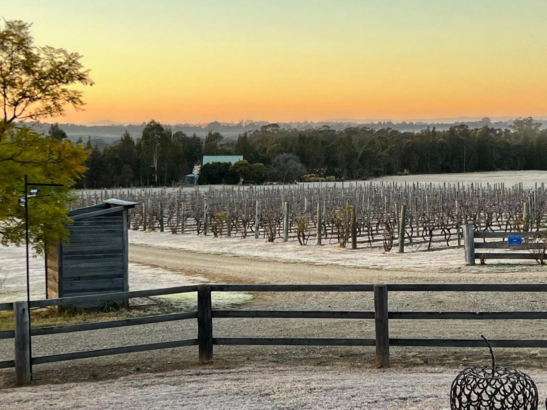 Bracken Ridge Vineyard The Entire Estate רוטברי מראה חיצוני תמונה
