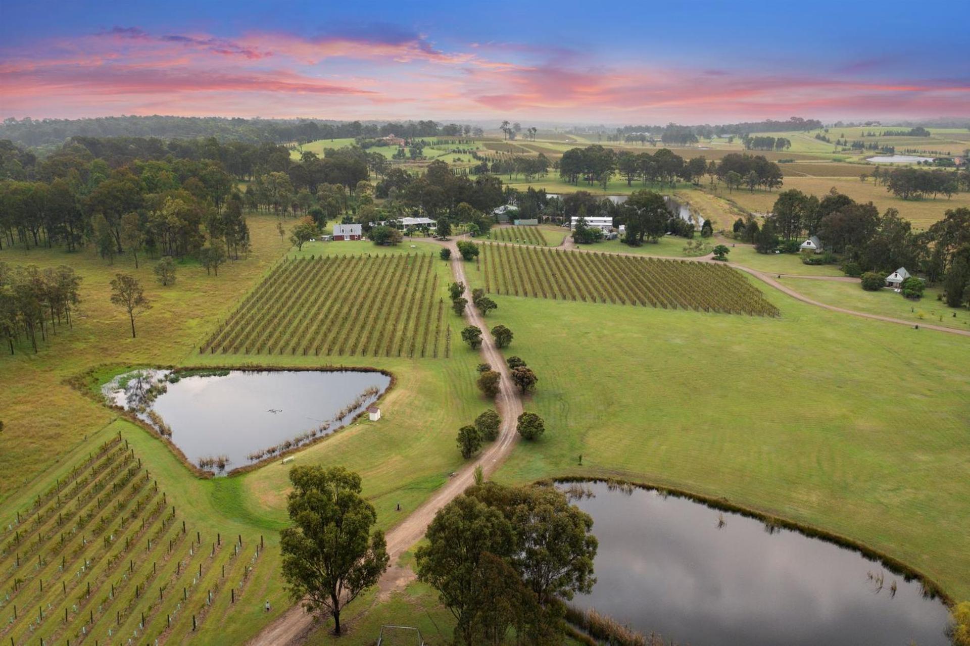 Bracken Ridge Vineyard The Entire Estate רוטברי מראה חיצוני תמונה
