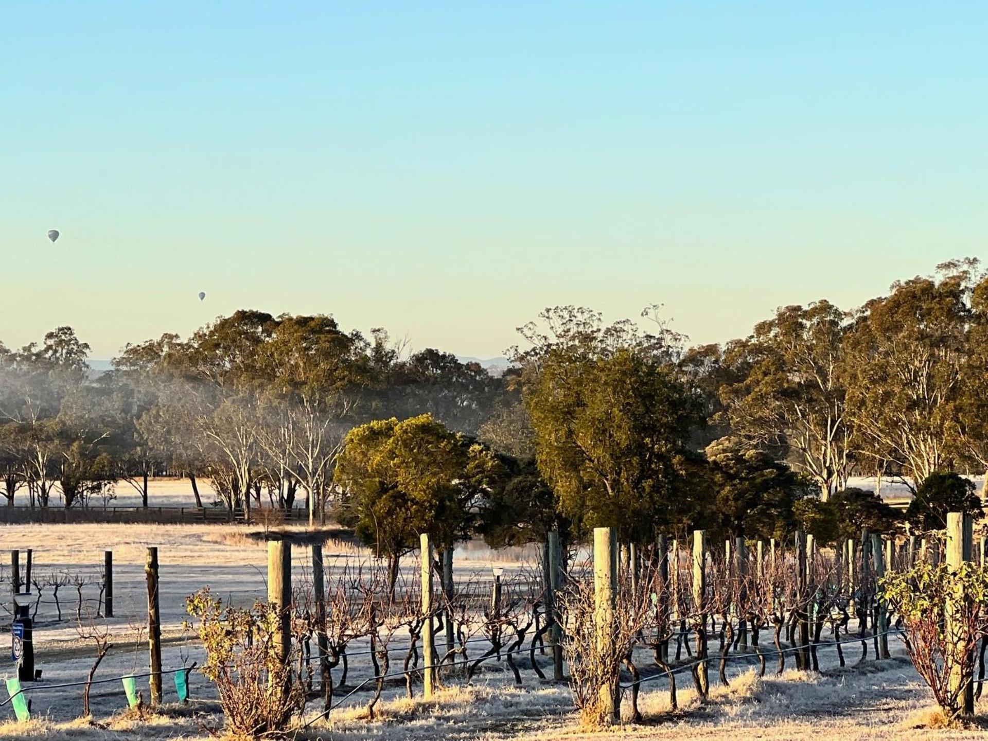 Bracken Ridge Vineyard The Entire Estate רוטברי מראה חיצוני תמונה