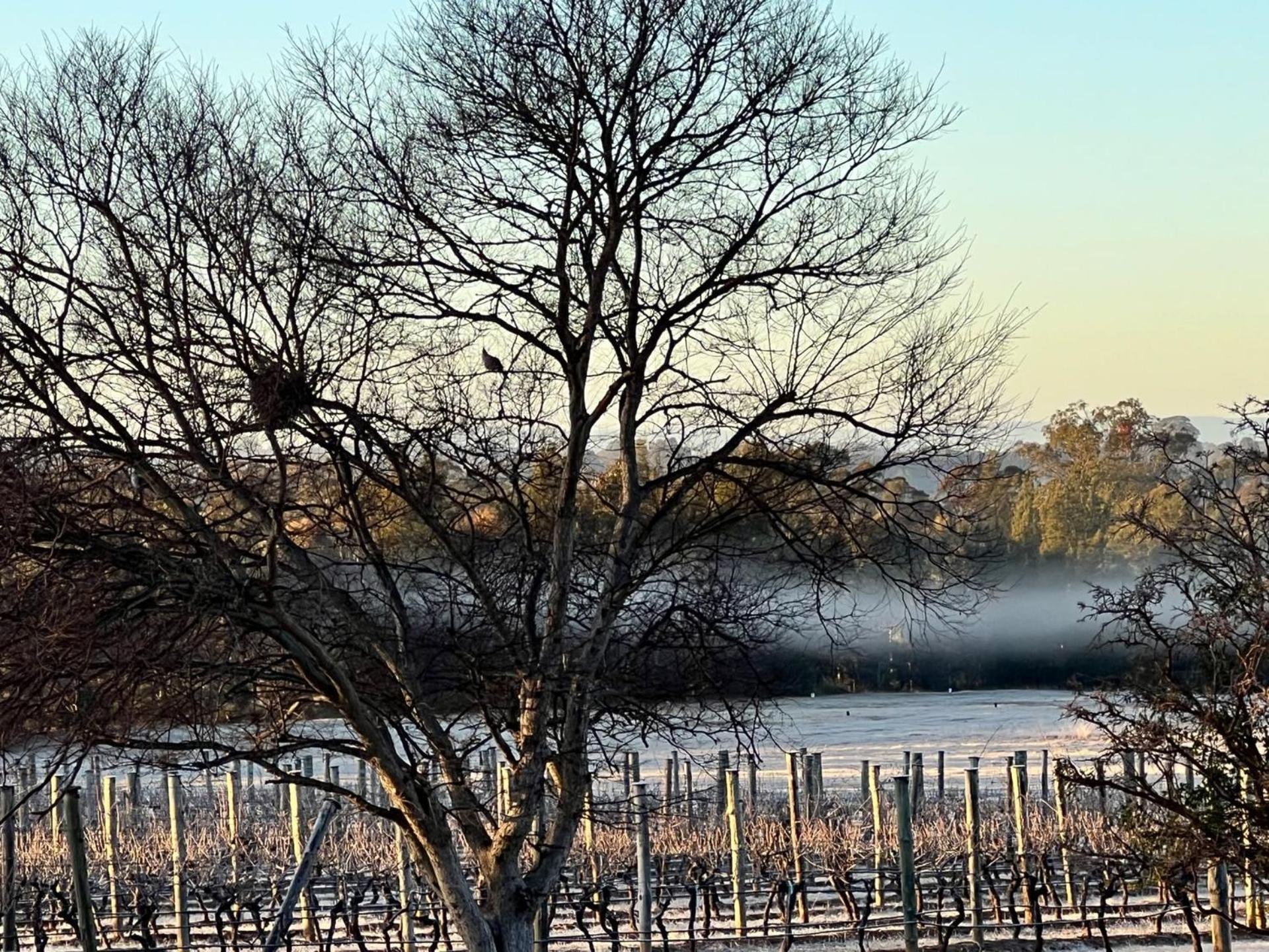 Bracken Ridge Vineyard The Entire Estate רוטברי מראה חיצוני תמונה